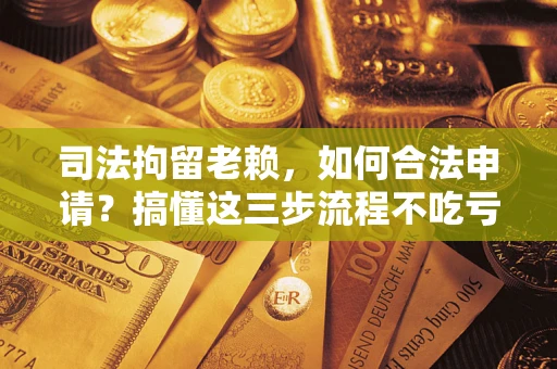 北京司法拘留老赖，如何合法申请？搞懂这三步流程不吃亏！