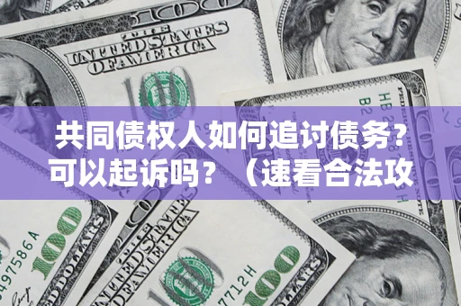 北京共同债权人如何追讨债务？可以起诉吗？（速看合法攻略）