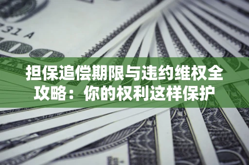 北京担保追偿期限与违约维权全攻略：你的权利这样保护